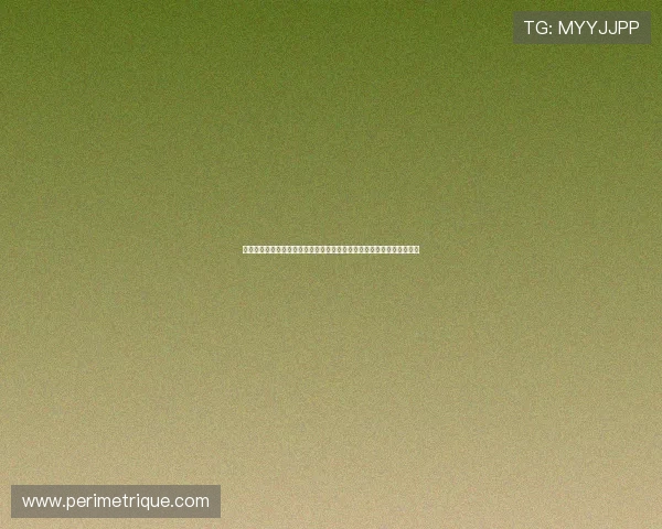 西班牙对佛得角交通攻略：为世界杯球迷提供的便捷交通路线与实用建议